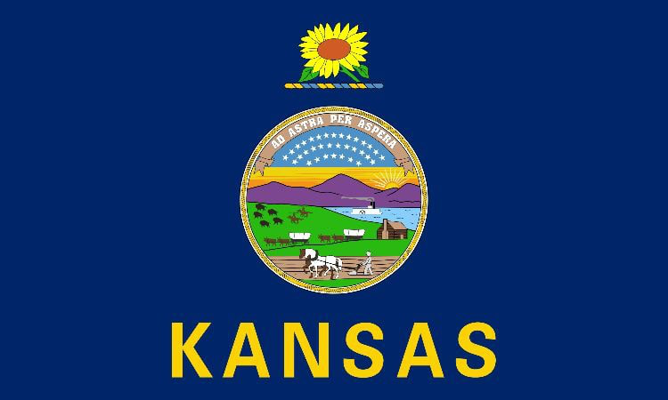 Kansas Flag